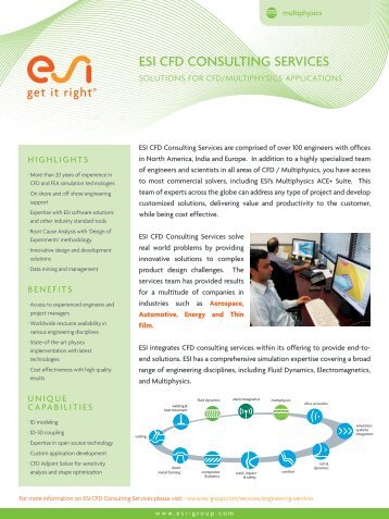 ESI CFD CONSULTING SERVICES - ESI Group