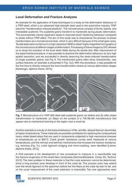 Scientific Advisory Board - Erich Schmid Institute