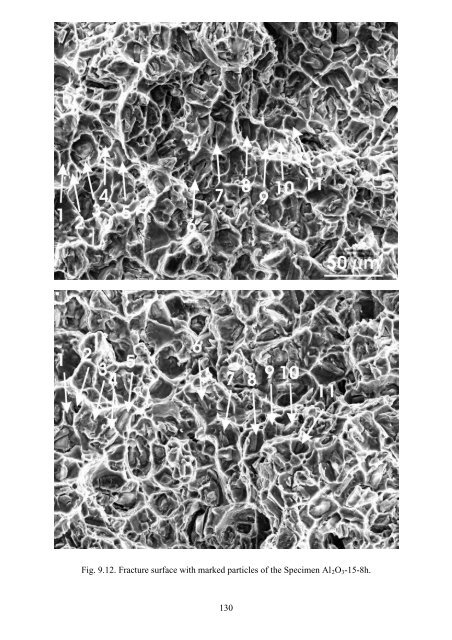 dissertation global and local fracture properties of metal matrix ...