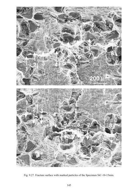 dissertation global and local fracture properties of metal matrix ...