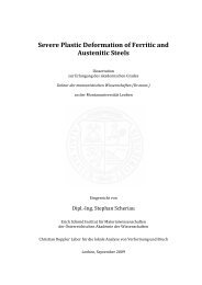 Severe Plastic Deformation of Ferritic and Austenitic Steels