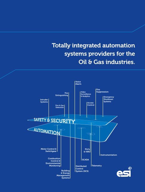 ESI Oil and Gas Brochure - Engineering for Science and Industry ...