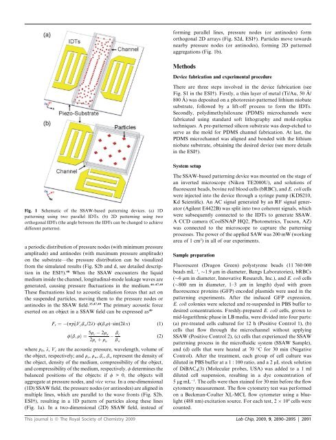 Miniaturisation for chemistry, physics, biology, & bioengineering