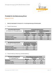 Preisblatt ESM NNE Strom 2010 - Energieversorgung Selb