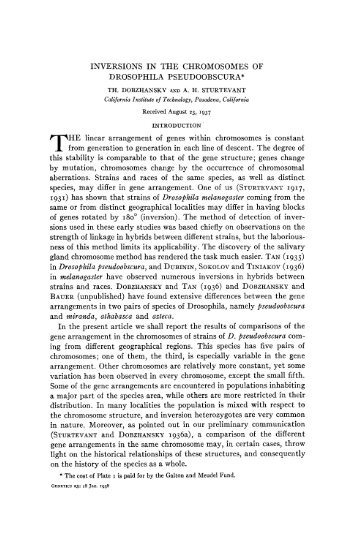 Dobzhansky, Th. and Sturtevant, A. H. 1938. Inversions in the ...