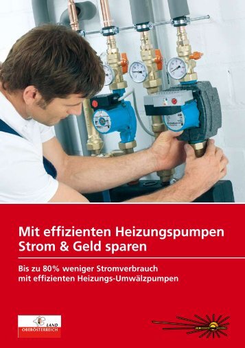 Mit effizienten Heizungspumpen Strom & Geld sparen - OÖ ...