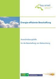 Energie-effiziente Beschaffung – Ausschreibungshilfe Für Die