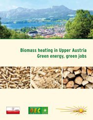 Biomass heating in Upper Austria Green energy, green jobs