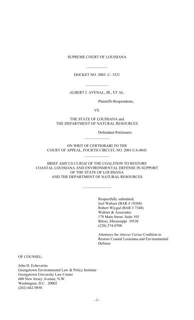 Amicus brief