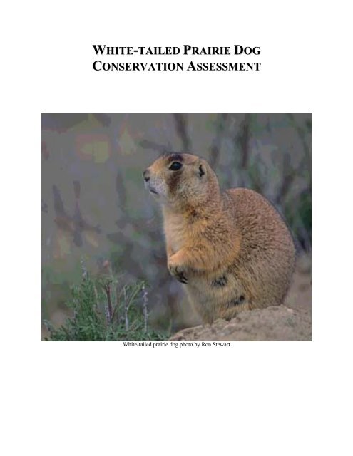 WTPD Conservation Assessment - Endangered Species & Wetlands ...