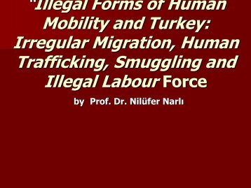 “Illegal Forms of Human Mobility and Turkey: Irregular ... - HUMSEC