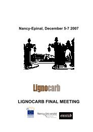 LIGNOCARB FINAL MEETING - etsEQ - Universitat Rovira i Virgili