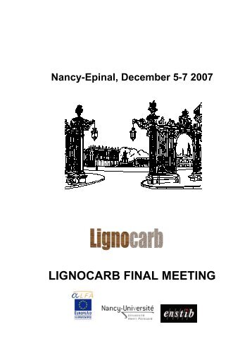 LIGNOCARB FINAL MEETING - etsEQ - Universitat Rovira i Virgili