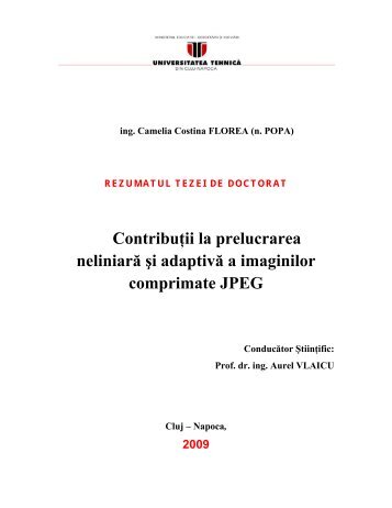 Rezumat teza Camelia Florea - Universitatea Tehnic?