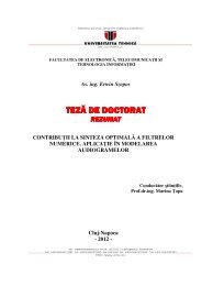 Rezumat teza