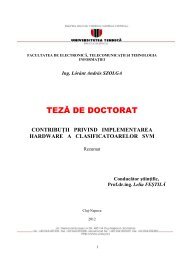 Rezumat teza