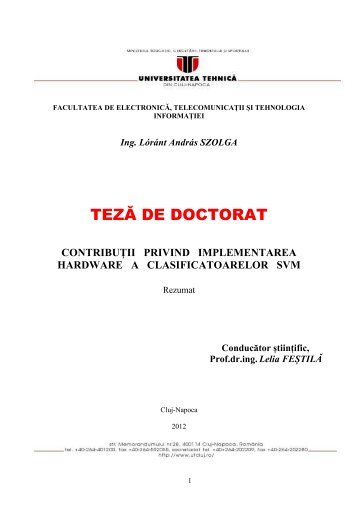 Rezumat teza