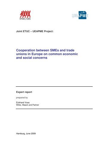 Cooperation between SMEs and trade unions in Europe on ... - ETUC