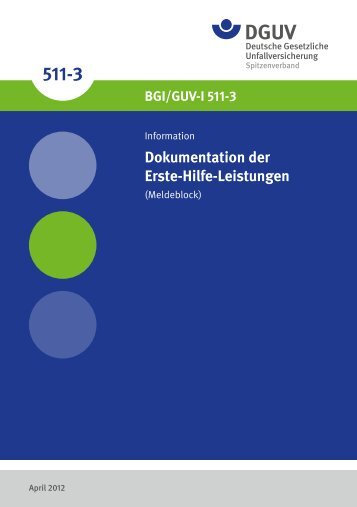 Dokumentation der Erste-Hilfe-Leistungen (Meldeblock) - DGUV