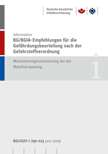 BG/BGIA-Empfehlungen für die Gefährdungsbeurteilung nach der ...