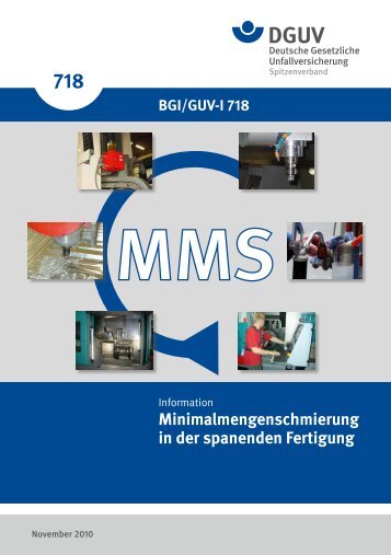 BGI 718.pdf, Seiten 51-67 - BGHM