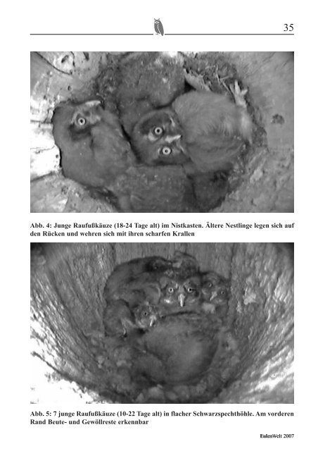 EulenWelt 2007 - Landesverband Eulenschutz in Schleswig ...