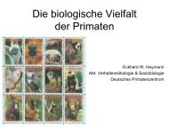 (PDF) Die Vielfalt der Primaten - EUPRIM-Net