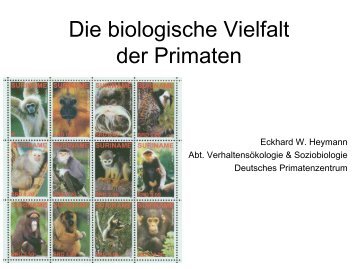 (PDF) Die Vielfalt der Primaten - EUPRIM-Net
