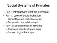 Social Systems - EUPRIM-Net