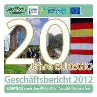 EUREGIO-Geschäftsbericht 2012 / 20 Jahre - Euregio Bayerischer ...