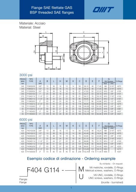 flange 04:Layout 1 - Eurofluid