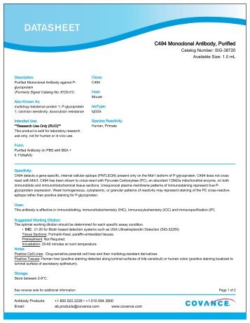 C494 Monoclonal Antibody, Purified - Eurogentec