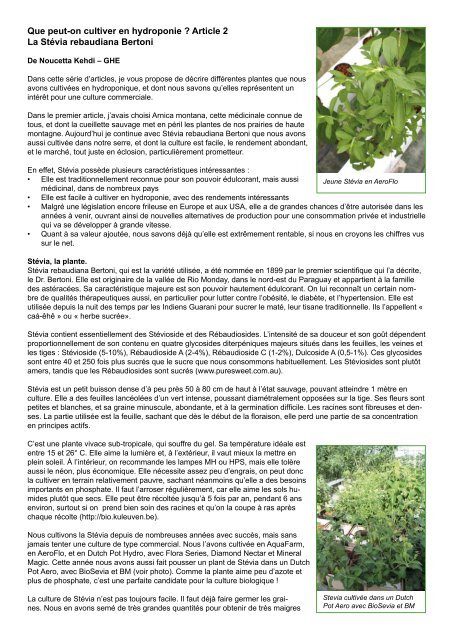 Que peut-on cultiver en hydroponie ? Article 2 La Stévia rebaudiana ...