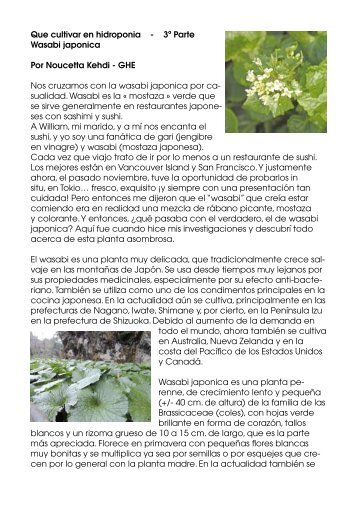 Que cultivar en hidroponia - 3ª Parte Wasabi japonica Por Noucetta ...