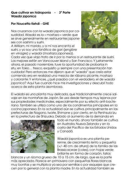 Que cultivar en hidroponia - 3ª Parte Wasabi japonica Por Noucetta ...