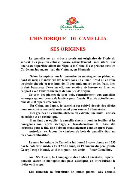 L'HISTORIQUE DU CAMELLIA SES ORIGINES