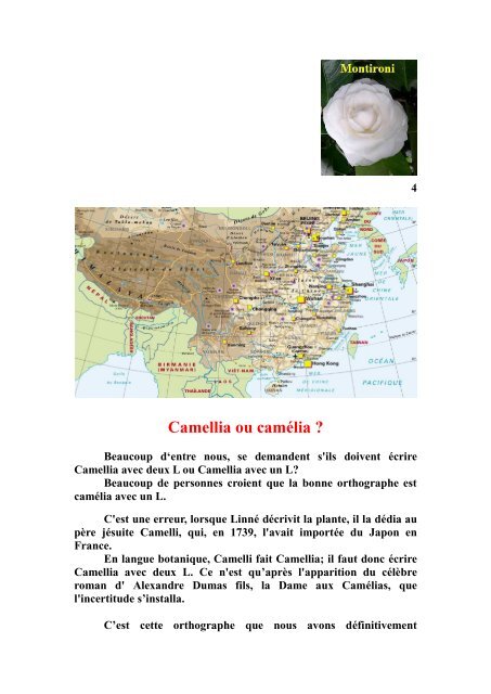 L'HISTORIQUE DU CAMELLIA SES ORIGINES