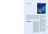 KYRO IN BRIEF - Euroland