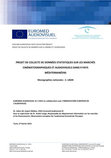 Rapport sur le Liban - Euromed Audiovisuel