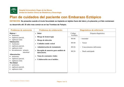 plan cuidados ectopico