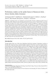 Preliminary studies on the spider fauna in Mannavan shola forest ...