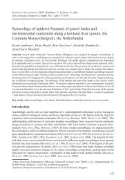 (Araneae) of gravel banks and environmental constraints along a ...