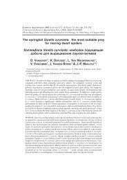The springtail Sinella curviseta - European Society of Arachnology