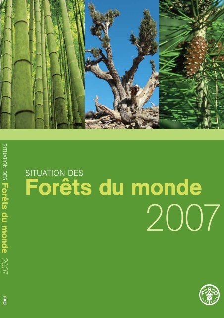 Situation des forêts du Monde 2007 - Eurosfaire