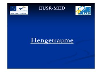 Hengetraume - EUSR