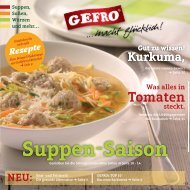 GEFRO Katalog 