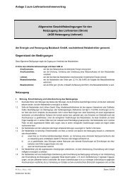 Anlage 3 zum LRV Strom (AGB) - Energie und Versorgung Butzbach ...