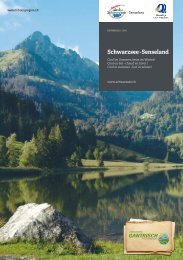 Schwarzsee Broschüre