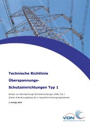 Technische Richtlinie Überspannungs- Schutzeinrichtungen Typ 1