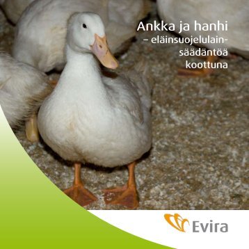 Ankka ja hanhi - Evira